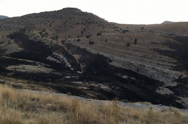بیش از ۱۵ هکتار از مراتع پارک ملی تندوره درگز در منطقه علی بلاغ طعمه حریق شد
