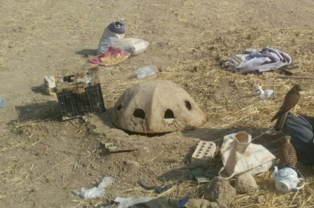 صیادان حرفه ای پرندگان شکاری در درگز دستگیر شدند