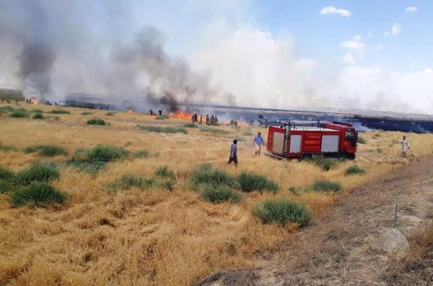 آتش سوزی در نقطه صفر مرزی لطف آباد با ترکمنستان مهار شد